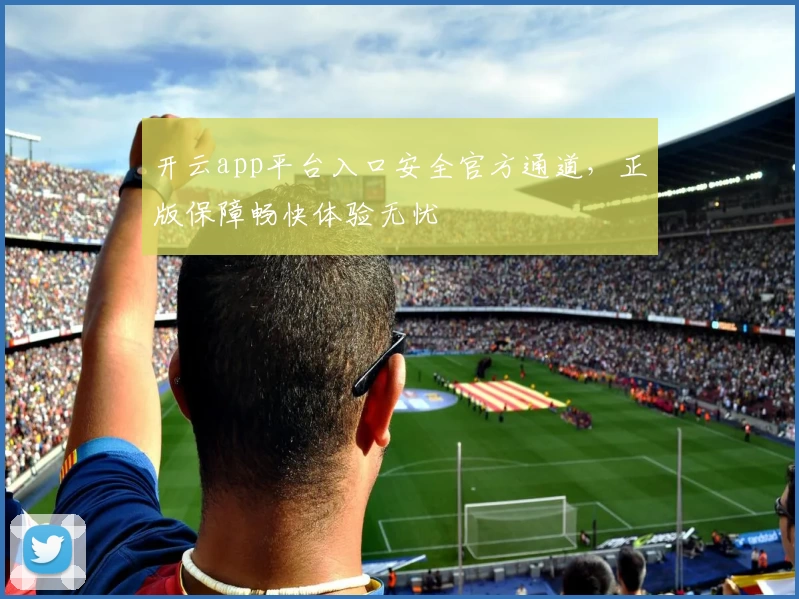 开云app平台入口安全官方通道,正版保障畅快体验无忧