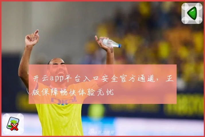 开云app平台入口安全官方通道,正版保障畅快体验无忧
