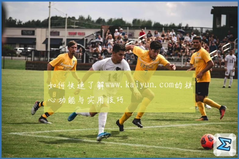 如何快速了解www.kaiyun.com的核心功能与实用技巧