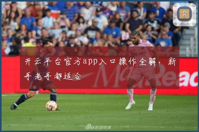 开云平台官方app入口操作全解,新手老手都适合