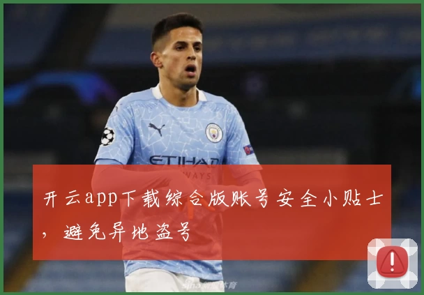 开云app下载综合版账号安全小贴士，避免异地盗号